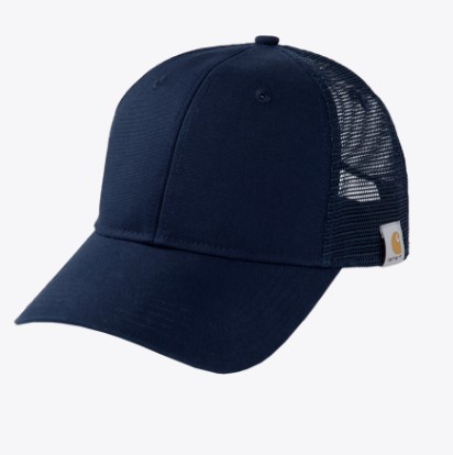 CAP 6687