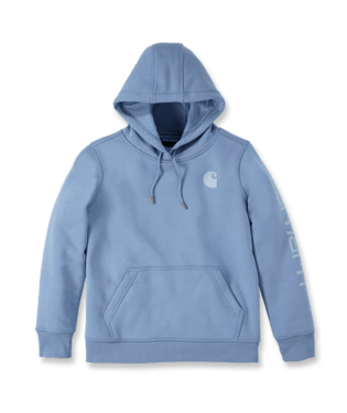 Carhartt Damen Hoodie mit Logo Größe L