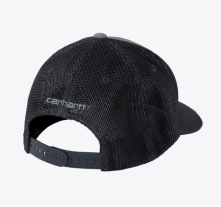 Carhartt Cap asphalt