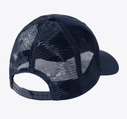 CAP 6687